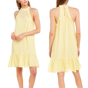NWT Julie Brown NYC Swiss Dot Mora Dress Sour Lemon Yellow‎ 2